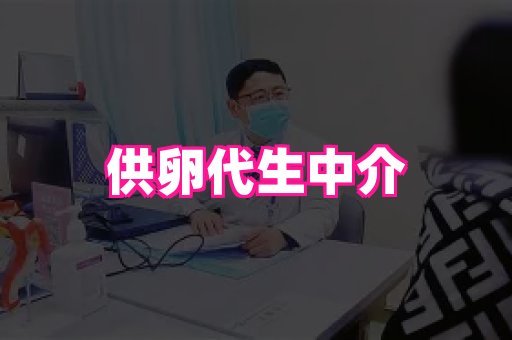 123试管孕网 1