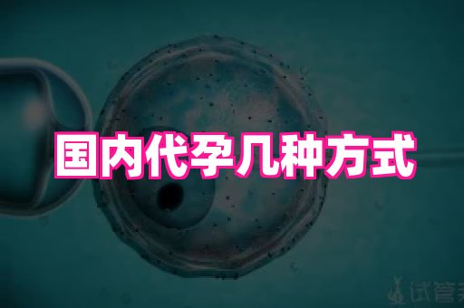 123试管孕网 4